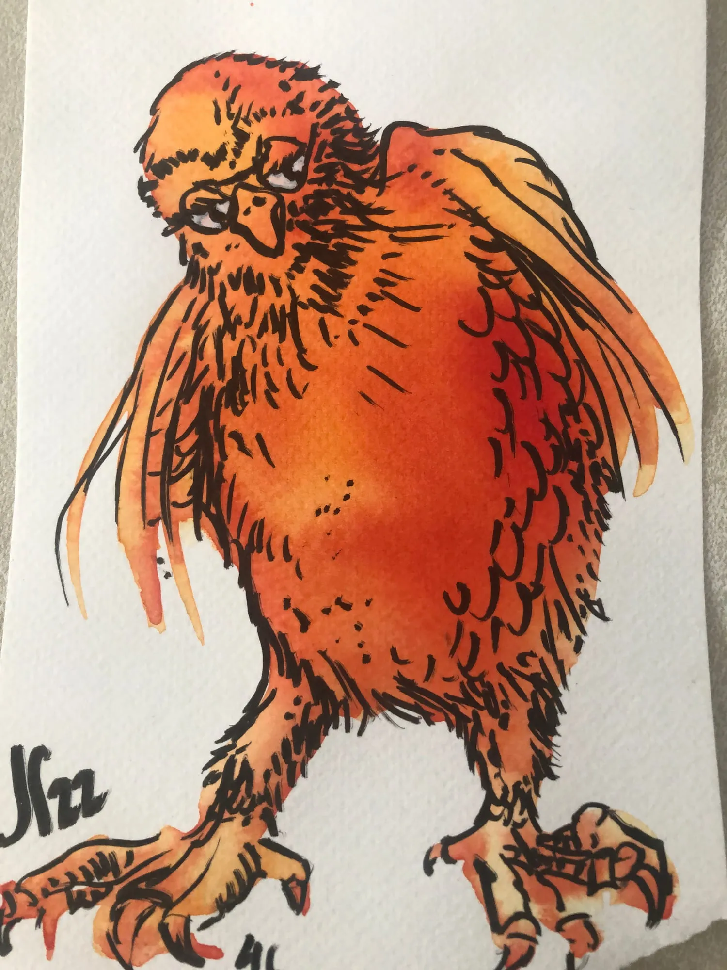 Exotic Bird (Orange Hen), watercolor and pen and ink on paper