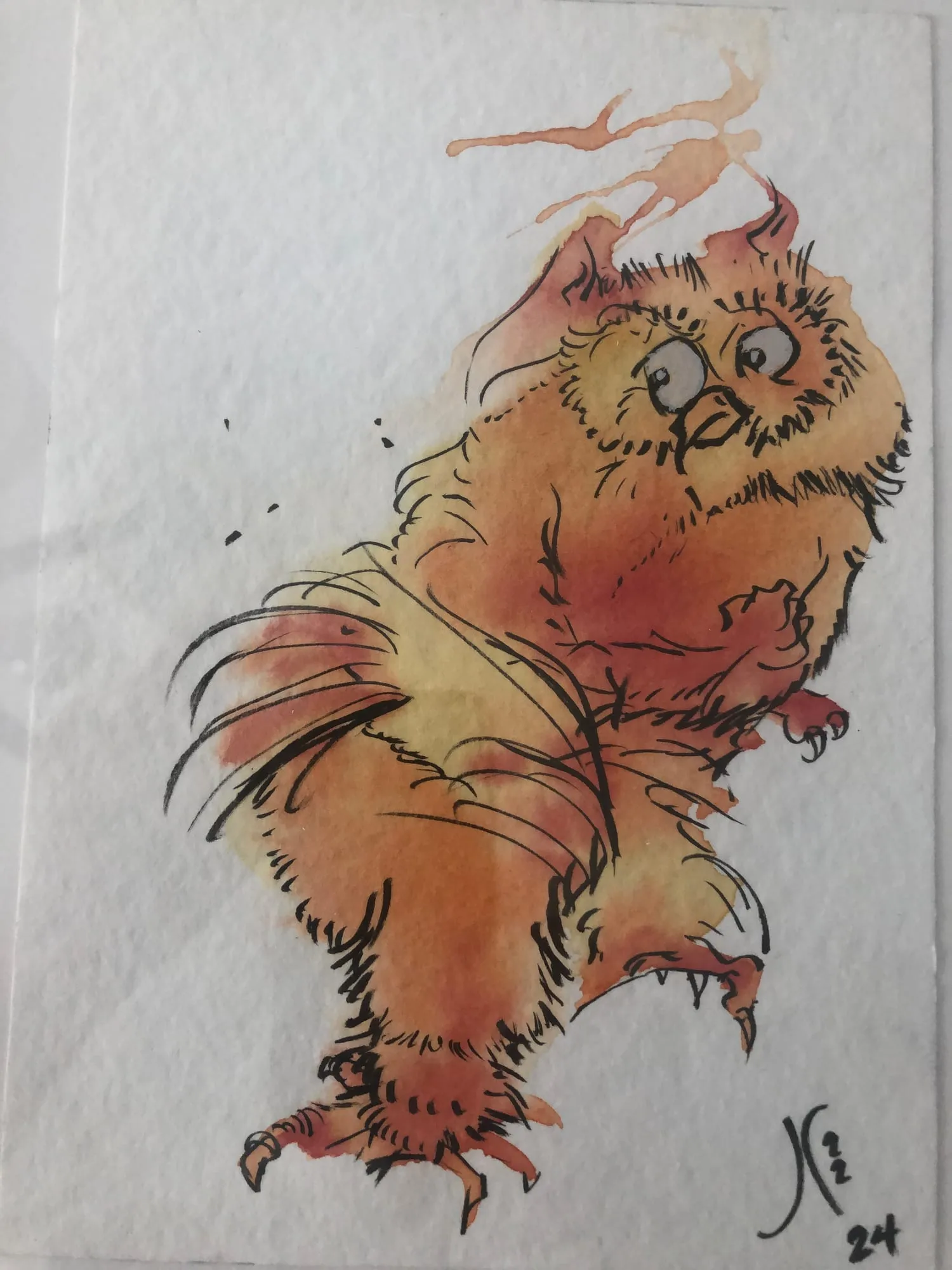 Exotic Bird (Tumbling Owl), watercolor and pen and ink on paper