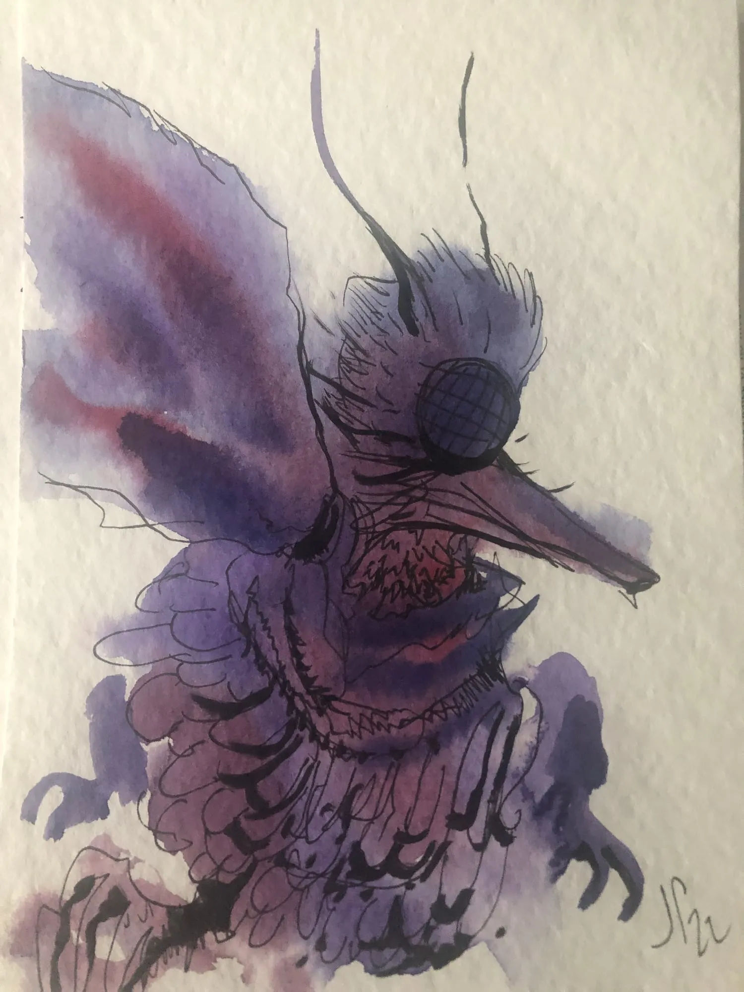 Exotic Bird (Purple Longbeak), watercolor and pen and ink on paper