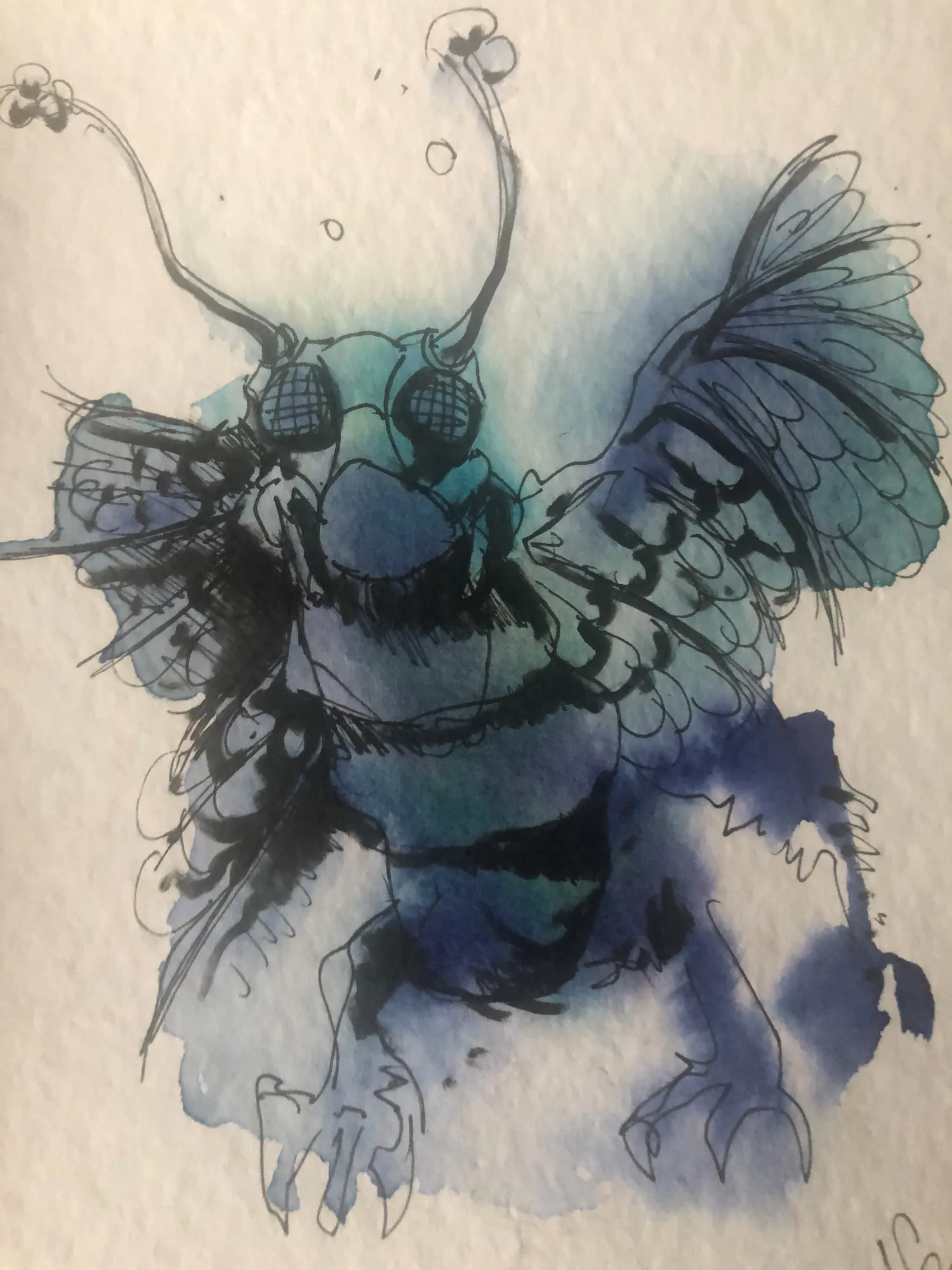 Cosmicism Insect (Blue Fly-Bird), watercolor and pen and ink on paper
