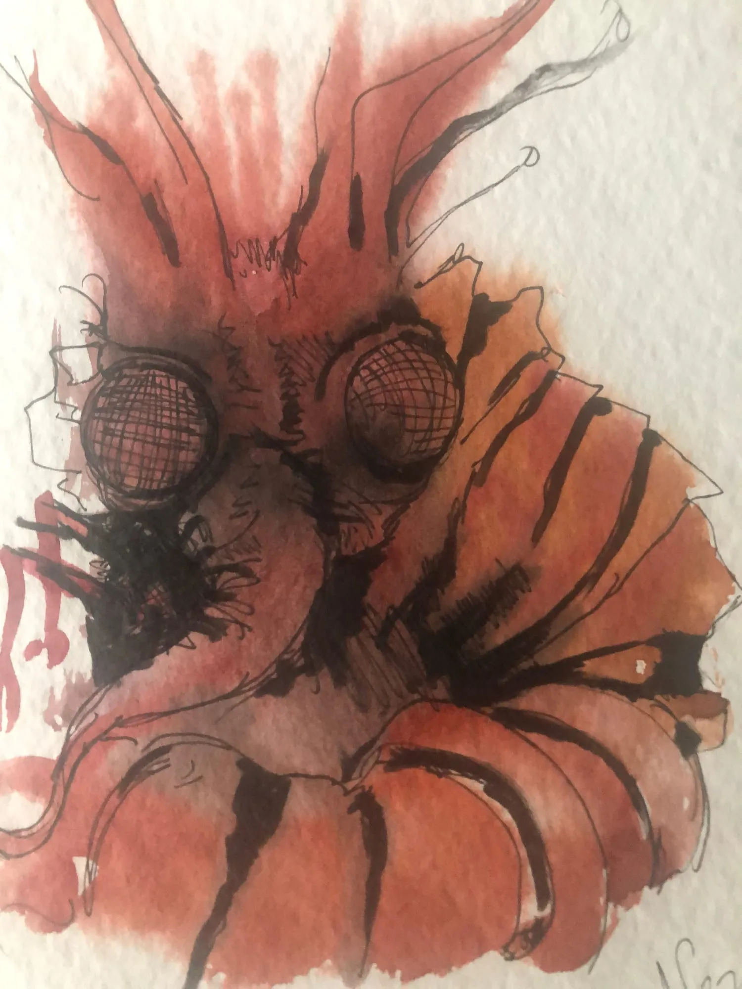 Cosmicism Insect (Rust), watercolor and pen and ink on paper